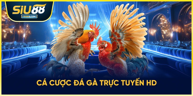 Cá cược đá gà trực tuyến HD