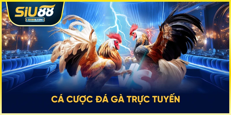 Cá cược đá gà trực tuyến