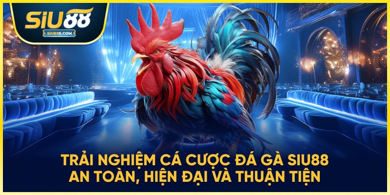 Trải nghiệm cá cược đá gà Siu88 an toàn, hiện đại và thuận tiện