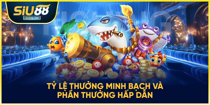 Tỷ lệ thưởng minh bạch và phần thưởng hấp dẫn