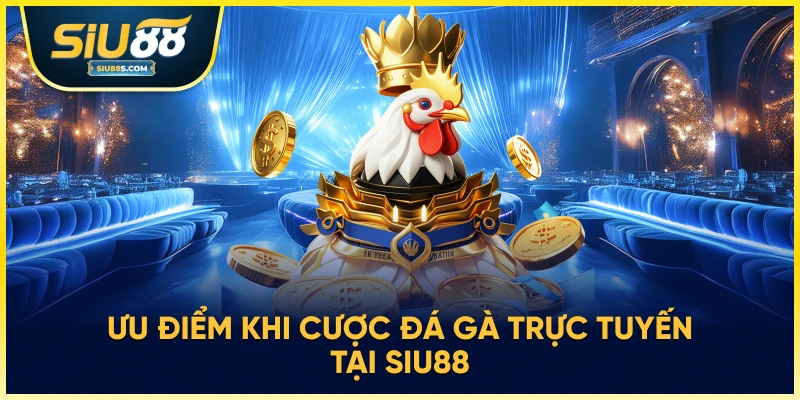 Ưu điểm khi cược đá gà trực tuyến tại Siu88